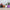 resin flower pots
durable flower pots
indoor resin pots
outdoor resin pots
lightweight flower pots
weather-resistant pots
decorative flower pots
modern plant pots
resin plant containers
colorful flower pots