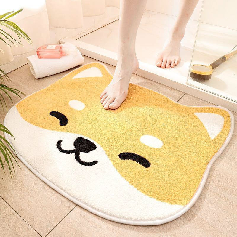 Absorbent Rug