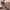 Digital thermometer with a bowl of coffee beans on a brown background

Digital measuring spoon
Electronic spoon scale
Kitchen measuring spoon
Digital spoon weight scale
Cooking measuring spoon
Electronic kitchen scale spoon
Digital gram measuring spoon
Measuring spoon with LCD display
Electronic measuring spoon for baking
Precision measuring spoon scale